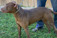 athena5