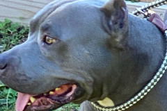 odin2